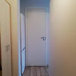 Hanna Kesklinna Apartamento *